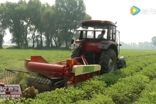 花生種植新新選擇 ()