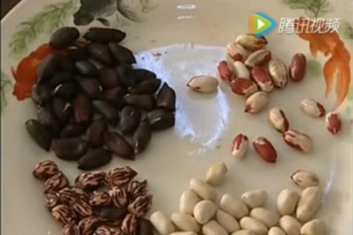 彩色花生種植技術(shù) ()