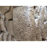 大量出售種子果