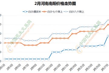 持貨商惜售 花生價格繼續(xù)上漲 ()